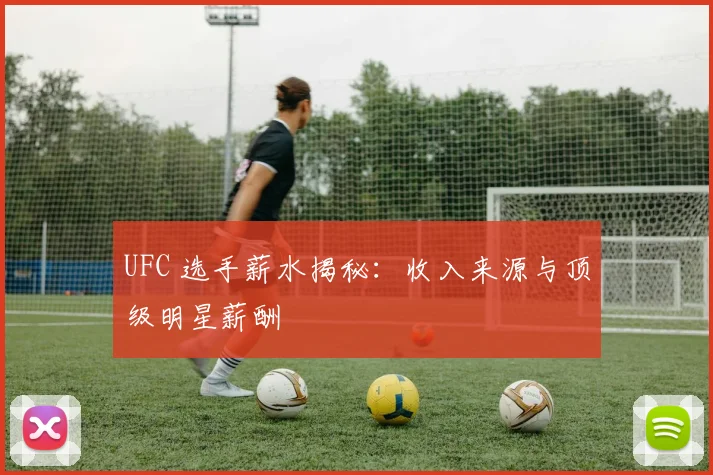 UFC 选手薪水揭秘：收入来源与顶级明星薪酬